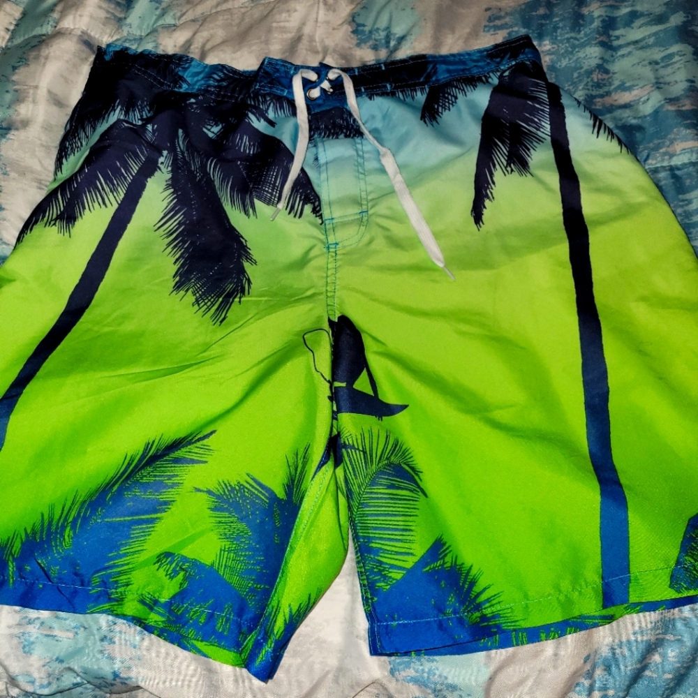 Men's Swim Trunks Large